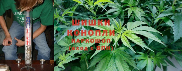 стаф Баксан