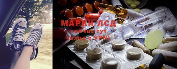 стаф Баксан