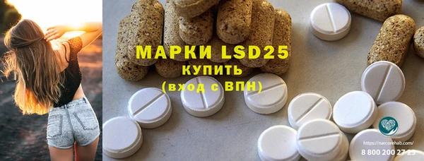 стаф Баксан
