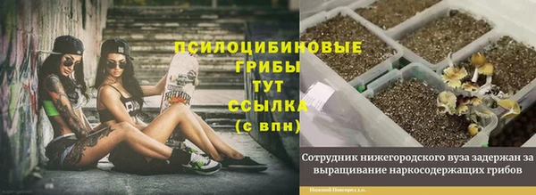 хмурый Балахна