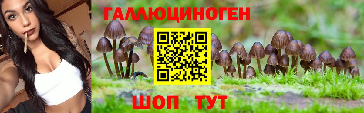 Галлюциногенные грибы Cubensis  Вход с VPN  Галлюциногенные грибы Cubensis  Борисоглебск 